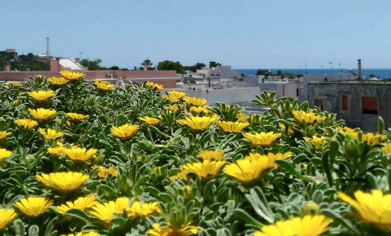 B&B MareIncantato Santa Maria di Leuca Esterno foto